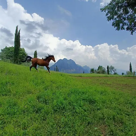 Helene Lodge Solto Collina