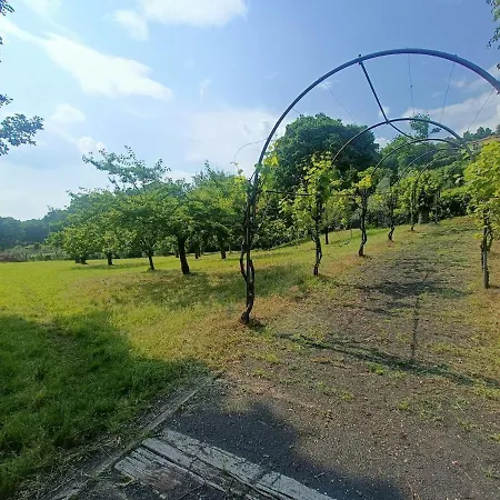 Helene 山林小屋