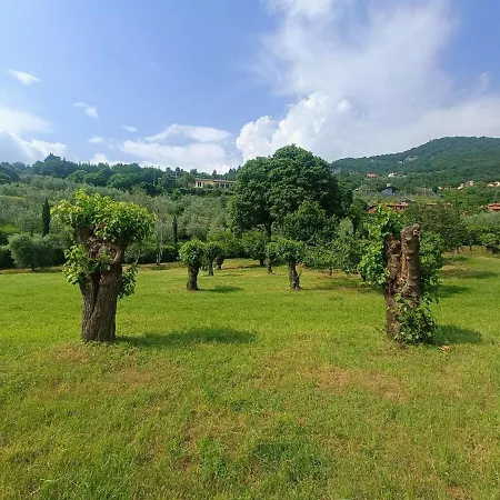 Helene * Solto Collina