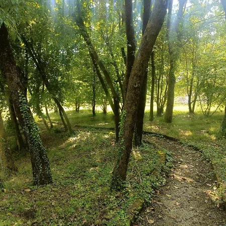 Helene Chata Solto Collina